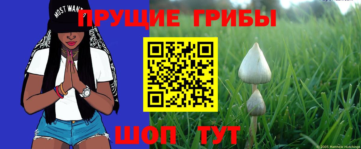 Находка  Галлюциногенные грибы прущие грибы  Псилоцибиновые грибы мухоморы  Вход с VPN 